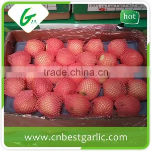 Fresh Chinese New Crop Red Gala Apple Wholesales thumbnail-1