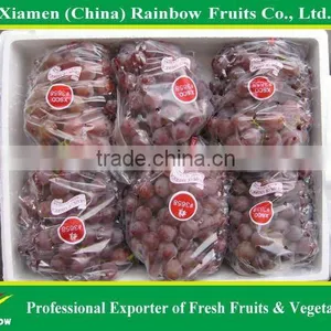Grapes From China With Sweet Taste thumbnail-2