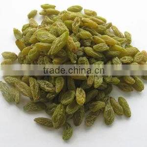 Top Quality Raisin(sun Dried) From Xinjiang thumbnail-6