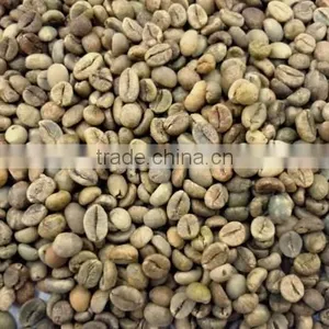 WET POLISHED ROBUSTA GREEN COFFEE BEANS GRADE 1 SCREEN 18 thumbnail-5