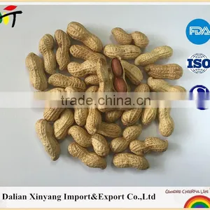 Delicious Inexpensive Nutritious Roasted Peanuts in Shell thumbnail-1