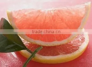 Pomelo thumbnail-3