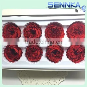 Import China Preserved Flowers Preserved Austin Rose Wholesale thumbnail-4