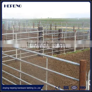 Alive Cattle Panels / Sheep Panel / Livestock Panels Used for Sheep thumbnail-2