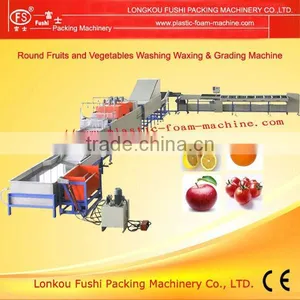 High Quality Fruit & Vegetable Washing Waxing and Grading Processing Machine thumbnail-1
