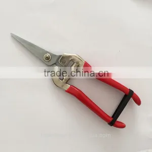 Stainless Steel Pick Fruit Scissors With Red Handle thumbnail-1