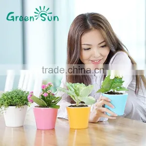 High Quality Colorful Small Mini Decorative Plastic Flowers Pot Home and Office Decoration thumbnail-2