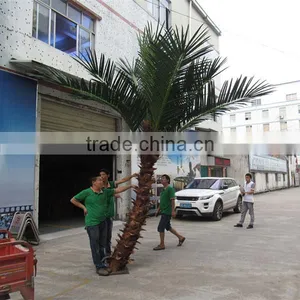 CHY020934 High Quality Palm Tree for Landscaping Decoration thumbnail-5