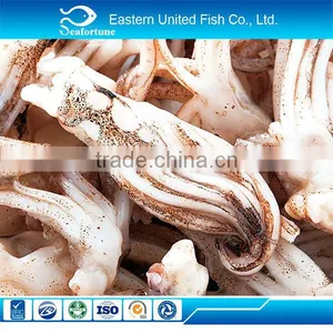 Seafood Export Frozen Cooked Frozen Giant Squid Tentacle thumbnail-1