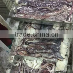 Giant Squid Tentacle thumbnail-3