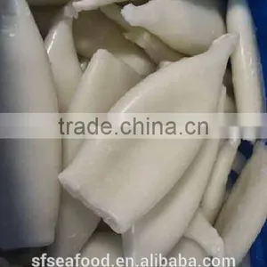 Squid Tube of Peru Giant Squid thumbnail-1