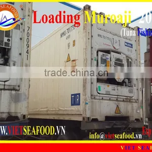 LOADING MUROAJI FOR TUNA BAIT thumbnail-1
