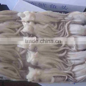 Frozen Squid Head Tentacles thumbnail-1