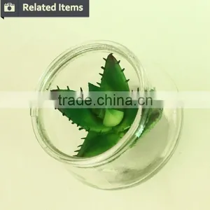 Hanging Succulents Mini Plants Artificial Glass Potted Plants thumbnail-4