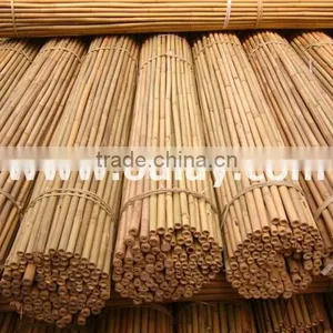 Dry Bamboo Poles HIGH QUALITY thumbnail-1