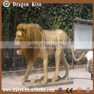2015 Life Size Mammoth Animatronic Animal Lion For Sale thumbnail-2