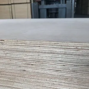 Marine Plywood thumbnail-1