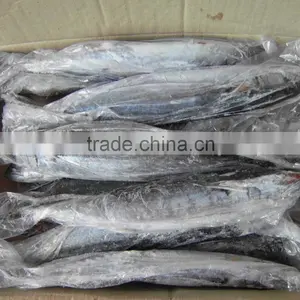 Seafood Spanish Mackerel thumbnail-6