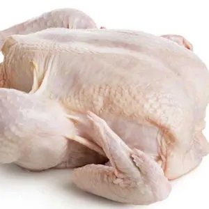 Premium Grade Fresh Frozen Chicken In A Best Rate thumbnail-3