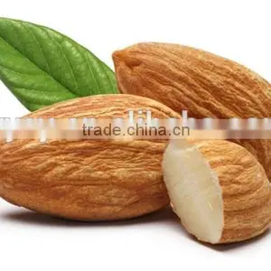 High Purity High Quality Sweet Almond Oil Message Oil thumbnail-1