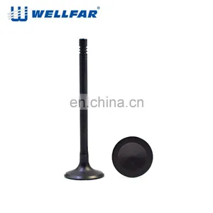 Factory Top Quality Automobile Parts 12575793 Inlet Exhaust Valve thumbnail-4