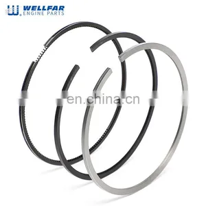 Wellfar Machinery Engine Parts DT466E DT530E Engine Piston Ring 1830723C92 1830724C92 thumbnail-4