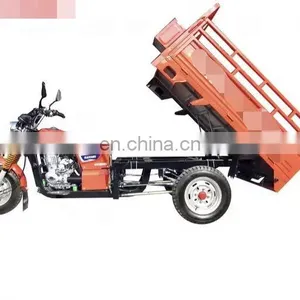 Hot Sell Tricycle Adult Motorized Gas 3 Wheel Scooters Cargo Tricycle, Factory Price thumbnail-1