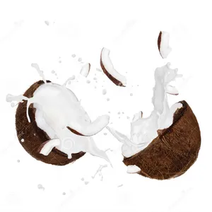 Coconut Water Processing Machine/coconut Juice Machine/coconut Milk Press thumbnail-1