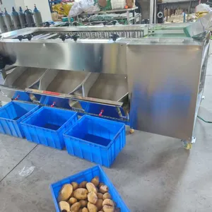 Green Lime Fruit Sorting Grading Machine Sorter Grader Machine Line Classifying Machines thumbnail-6
