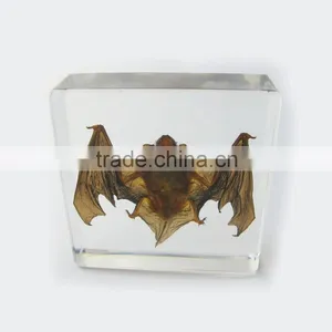 2016 New Design Wholesale Promotional Gift Desk Decoration With Real Insect Bat thumbnail-3