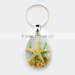 2016 New Lovely Beautiful Key Chain for Promotion Gift With Real Sealife thumbnail-4