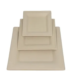 Original Wheat Straw Pulp Biodegradable Square Plate 20cm Partitioned Party Serving Tray thumbnail-3