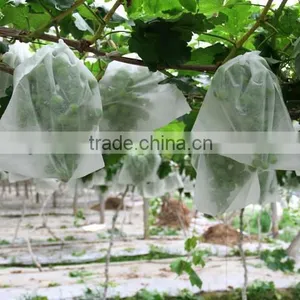 Non-woven Frost Protection Fleece thumbnail-1