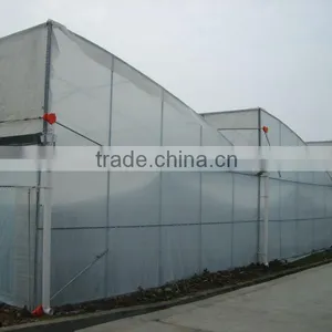 Mini Green House thumbnail-2