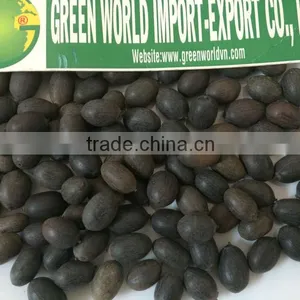 DRIED BLACK LOTUS SEED BEST QUALITY_CHEAP PRICE thumbnail-1