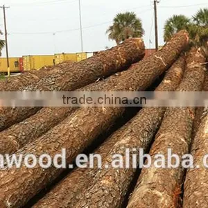 Southern Yellow Pine Logs thumbnail-2