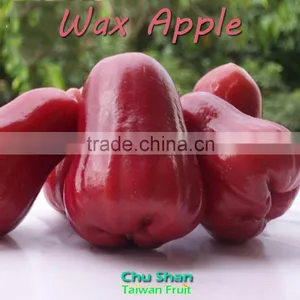 Best Quality FreshWax Apple thumbnail-1