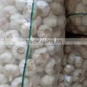 Chinese New Garlice Price thumbnail-1