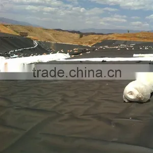 Plastic Pvc Geomembrane With CE Certificate thumbnail-6