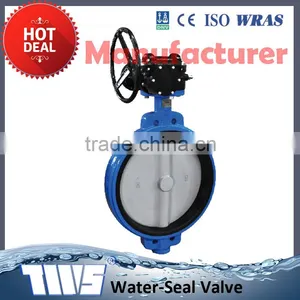 TWS Resilient Seated Flanged Butterfly Valve thumbnail-2