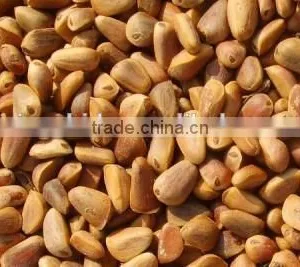 Chinese Pinenut , Red Pine Nut thumbnail-1
