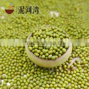 Green Mung Bean thumbnail-4