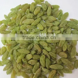 Green Raisin thumbnail-1