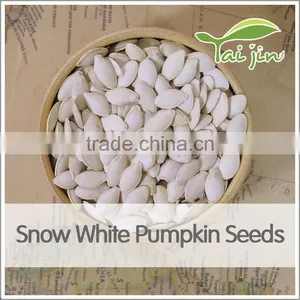 First Grade Health Snow White Pumpkin Seed thumbnail-4