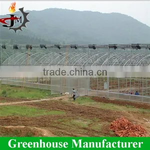 Gold Quality uv Resistant Large Polytunnel Plastic Greenhouse thumbnail-4