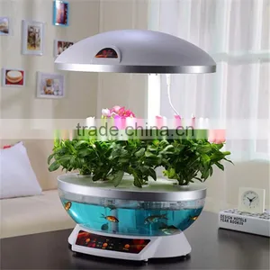 Consumer Electronics in Dubai thumbnail-1