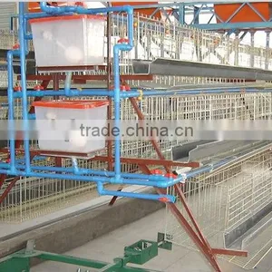 Chicken Egg Layer Cages/chicken Cages thumbnail-1