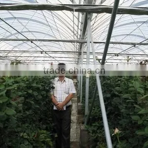 Commercial Greenhouse For Sale thumbnail-2