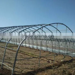 Multi-span Tunnelgreenhouse for Vagetable and Fruits thumbnail-5