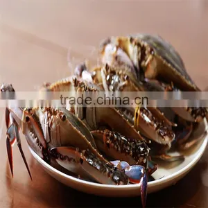 Frozen Tasty Blue Swimming Crabs Exproters for Favourable Price thumbnail-1